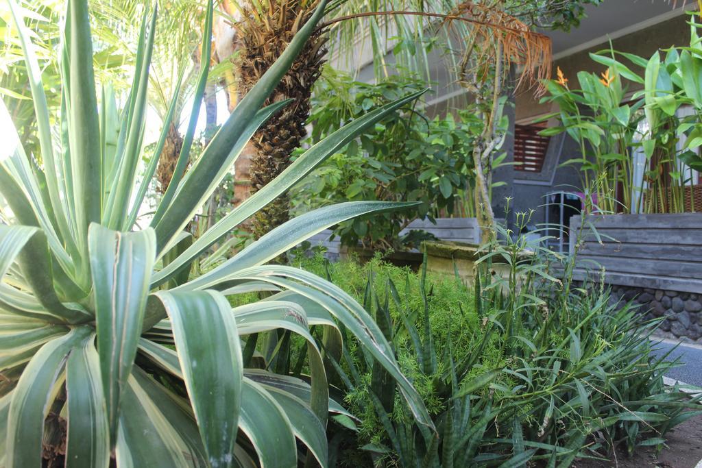 Letos Kubu Homestay Kuta  Exterior photo
